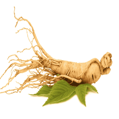 Ginseng